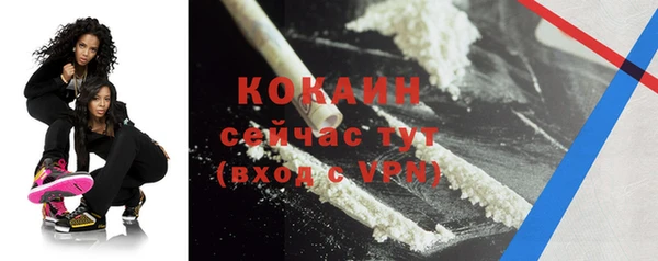 ПСИЛОЦИБИНОВЫЕ ГРИБЫ Лагань
