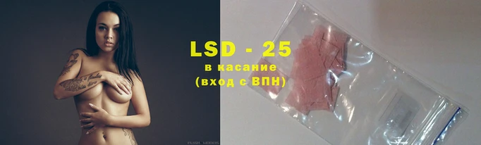 ПСИЛОЦИБИНОВЫЕ ГРИБЫ Лагань