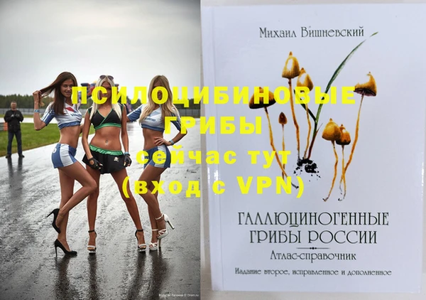 ПСИЛОЦИБИНОВЫЕ ГРИБЫ Лагань