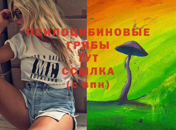 ПСИЛОЦИБИНОВЫЕ ГРИБЫ Лагань