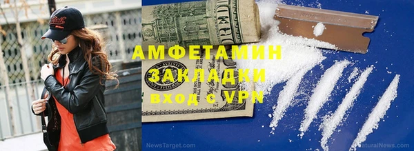 ПСИЛОЦИБИНОВЫЕ ГРИБЫ Лагань