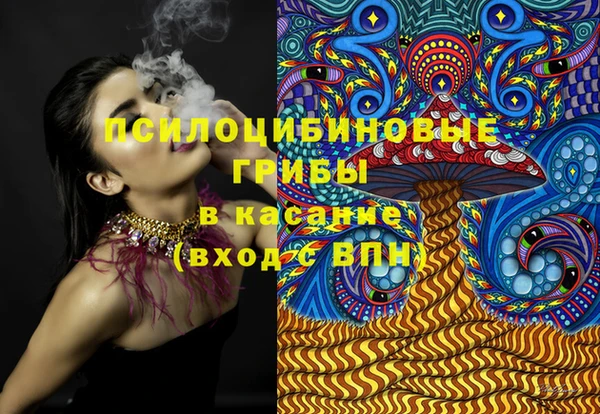 ПСИЛОЦИБИНОВЫЕ ГРИБЫ Лагань
