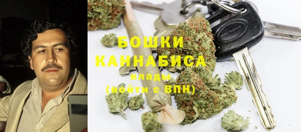 ПСИЛОЦИБИНОВЫЕ ГРИБЫ Лагань