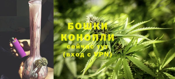 ПСИЛОЦИБИНОВЫЕ ГРИБЫ Лагань