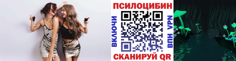 Псилоцибиновые грибы Psilocybine cubensis  Россошь 