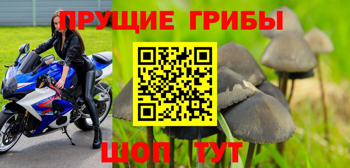 Псилоцибиновые грибы Cubensis Россошь