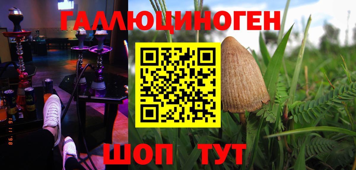 Псилоцибиновые грибы мицелий  Вход с VPN  Россошь 