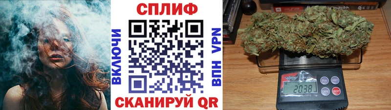 Конопля OG Kush  Россошь 